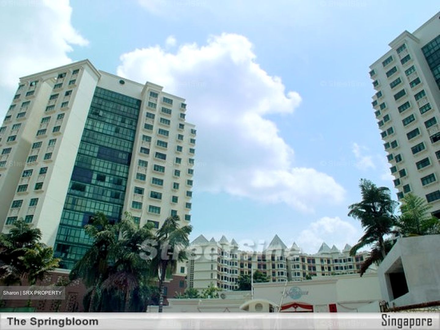 The Springbloom (D19), Condominium #604246081